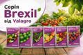 Brexil від Valagro: що і коли застосовувати дізнатися більше
