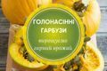 Голонасінні гарбузи: як вирощувати гарний врожай дізнатися більше