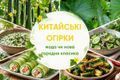 Китайські огірки: мода чи нова городня класика? дізнатися більше