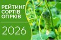 Рейтинг сортів огірків 2026 дізнатися більше