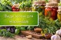 Види зелені для консервації: маст-хев кожної господині дізнатися більше