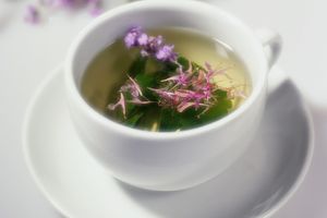 ТОП растений для ароматного чая: монарда узнать больше