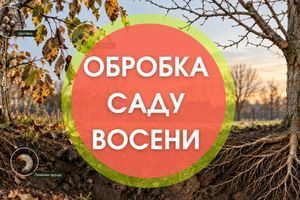 Чим обробити дерева восени дізнатися більше