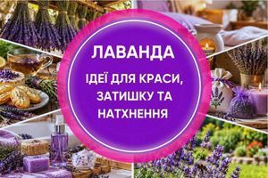 Применение лаванды: ароматерапия, кухня, косметика узнать больше
