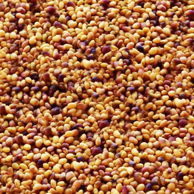Клевер красный семена Украина 0,5 кг 18.0080 фото