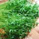 Насіння мікрозелені сочевиці 10 г