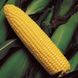 Семена кукурузы Бондюелька F1 ( ГСС 3071) Syngenta Агропак 50 г