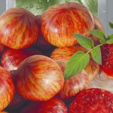 Насіння томатів Хамелеон , 0,1 г - купити | Good Harvest