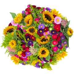 Інтернет магазин Насіння квітів і трав — купити в інтернет магазині Good Harvest