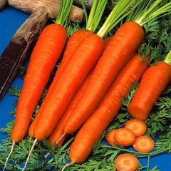 Насіння моркви Дитяча Солодка Яскрава 10 г