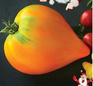Насіння томату Зимове серце Сонячний Березень 25 насінин 11.3208 фото