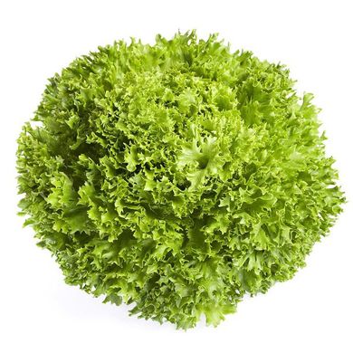 Насіння салату листового Експедішн Саланова Rijk Zwaan Агропак драже 100 шт 19.0281 фото