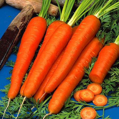Семена моркови Детская Сладкая Яскрава 10 г 11.1830 фото