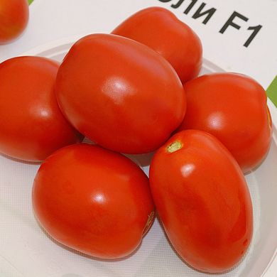 Насіння томатів Чіблі F1 Syngenta Садиба 20 шт 11.2066 фото