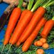 Семена моркови Детская Сладкая Яскрава 10 г