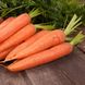 Насіння моркви Червона бояриня Satimex Садиба 10 г