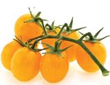 Семена томатов Де Барао оранжевый Солнечный Март 25 шт - купить | Good Harvest