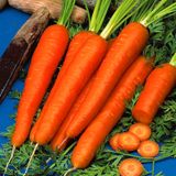 Насіння моркви Дитяча Солодка Яскрава 3 г - купити | Good Harvest