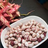 Насіння квасолі на зерно Перлина кущова Яскрава 20 г - купити | Good Harvest