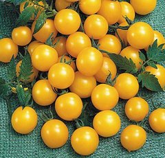 Насіння томатів Оля F1 Legutko Агропакгруп 0,2 г 11.2265 фото