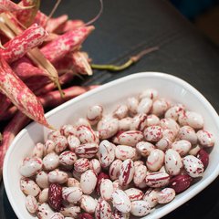 Семена фасоли на зерно Перлина кустовая Яскрава 20 г 11.1603 фото