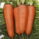 Насіння моркви Курода Шантане United Genetics Профсемена 1 г