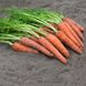 Семена моркови Вита Лонга Яскрава 10 г