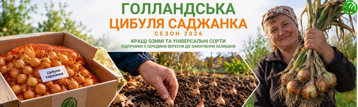 Предзаказ лука севка на осень 2026