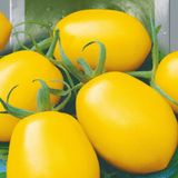 Насіння томатів Лимон-Ліана 25 шт - купити | Good Harvest