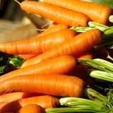 Насіння моркви Долянка Яскрава 3 г - купити | Good Harvest