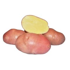 Насіння картоплі Краса Seedera 0,01 г