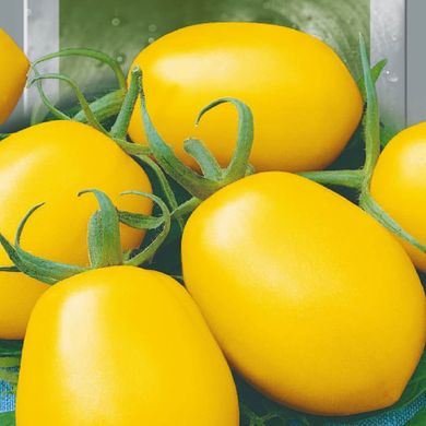 Насіння томатів Лимон-Ліана 25 шт 11.2491 фото