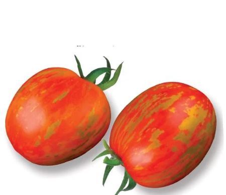 Семена томатов Де Барао полосатый Солнечный Март 25 шт 11.3162 фото