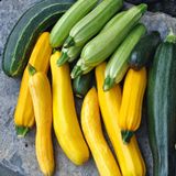 Насіння кабачків Весела сімейка суміш сортів Агромаксі 2 г - купити | Good Harvest