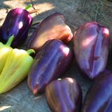 Семена перца Цыганский барон 30 шт Солнечный март - купить | Good Harvest