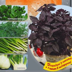 Набір насіння Прянощі до салатів Seedera 5 видів