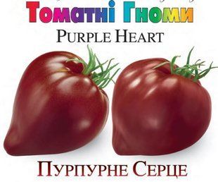 Насіння томатів Пурпурне серце Сонячний Березень 10 шт 11.3274 фото