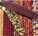 Семена кукурузы Индианский орнамент Солнечный Март 30 г