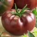 Насіння томатів Мулатка Садиба 5 г