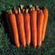 Насіння моркви Імператор Gl Seeds 20 г