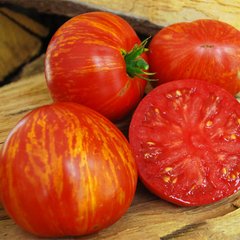 Семена томатов Зебра оранжевая 0,1 г 11.1328 фото