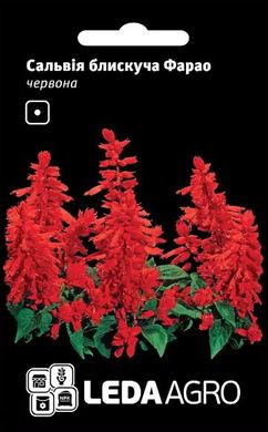 Семена сальвии блестящей Фарао красная 0,05 г 10.1856 фото
