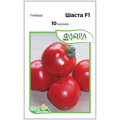 Семена томатов Шаста F1 HM.Clause INC 10 шт 11.3066 фото