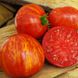 Насіння томатів Зебра помаранчева 0,1 г