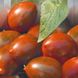 Семена томатов Хаки 0,1 г