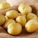 Семена картофеля Лада F1 Агромакси 0,01 г