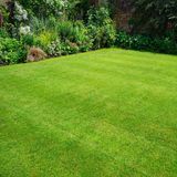 Семена газонной травы Универсальный Семейный Сад 30 г - купить в Украине | Good Harvest