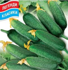 Семена огурцов Воргебирштраубе, Солнечный Март, 20 шт 11.3169 фото