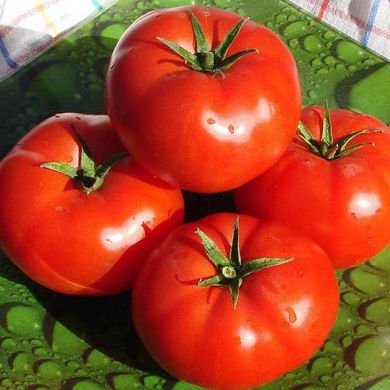 Насіння томатів Балада Агромаксі 3 г 11.2030 фото