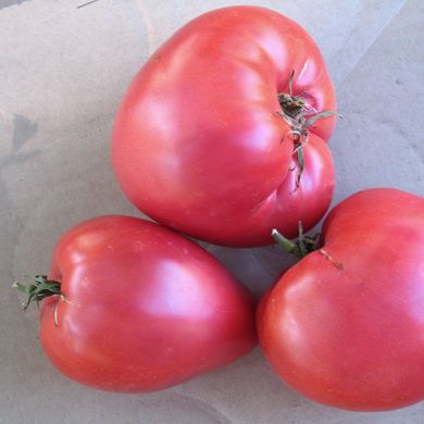 Семена томатов Бычье серце розовый Gl Seeds 0,1 г 11.1989 фото